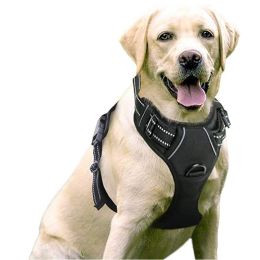 Dog Hand Holding Rope Reflective Vest